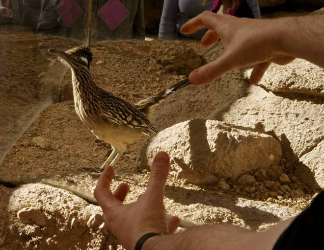 10885078_10152471472220974_2697290746106694691_n