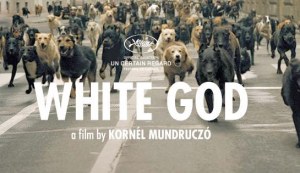 whitegod