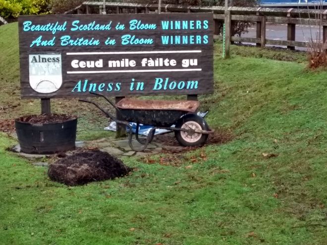 Alness in bloom